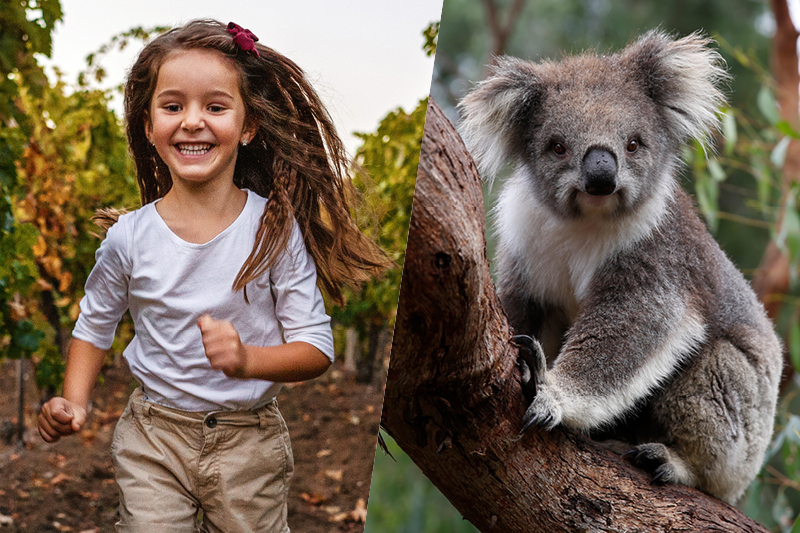 FAMILY DAY OUT - Lunch & Wildlife Experience