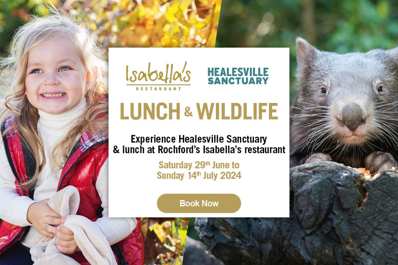 SCHOOL HOLIDAYS - Lunch & Sanctuary Experience