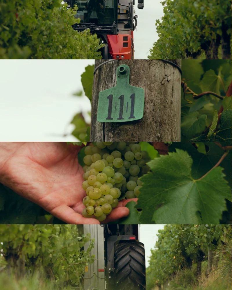 The Rochford Estate range
