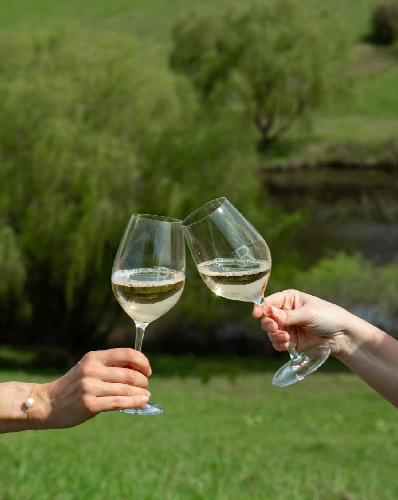 Two Wine Glass