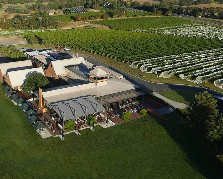 Rochford Home Vineyard