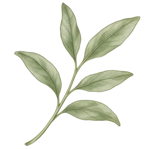 Sprig