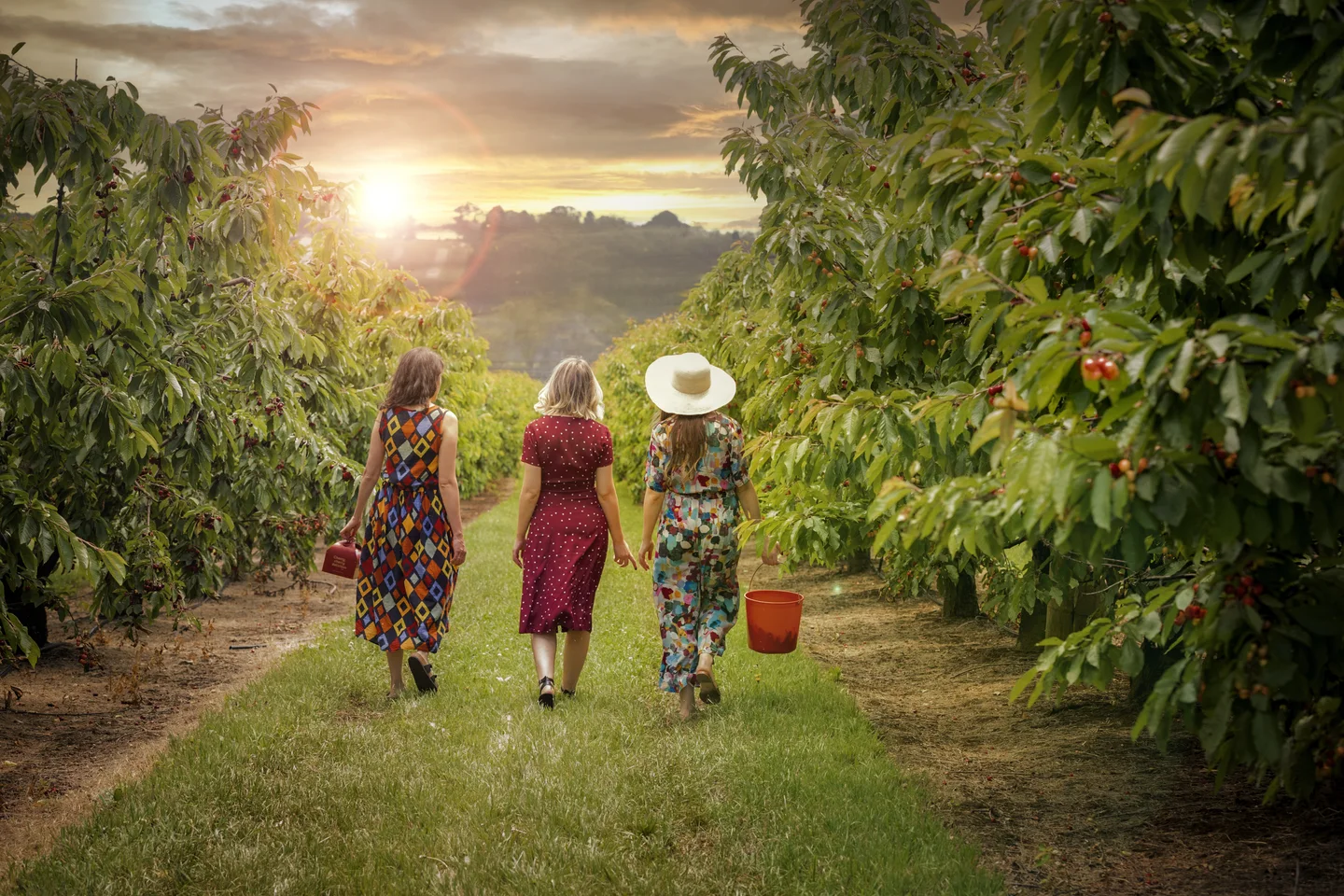 Friends walking between cherry trees at CherryHill Orchards